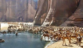 Wadi el Gemal … Valley of wonders in the deep south  Photo